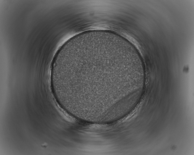 X0000101191179200807250955