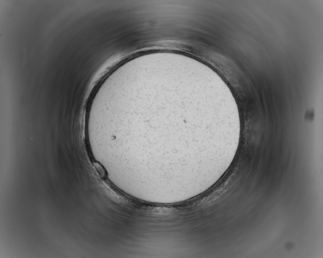 X0000101191180200807250955