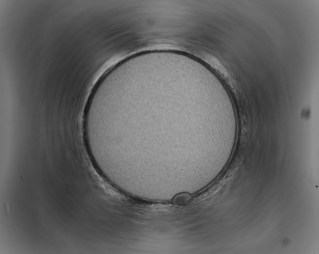 X0000101191181200807250955