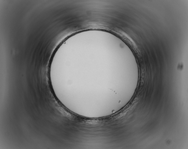 X0000101191182200807250955