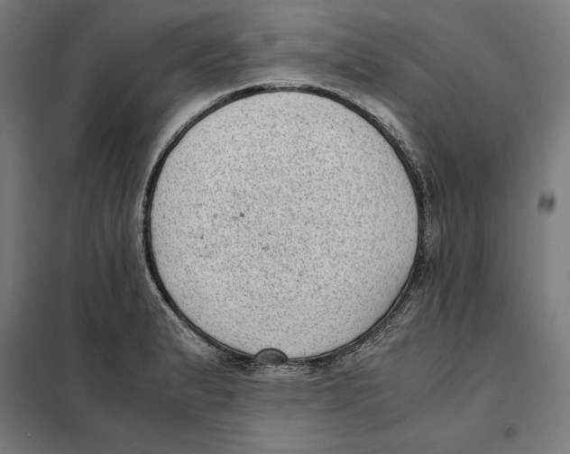 X0000101191183200807250955