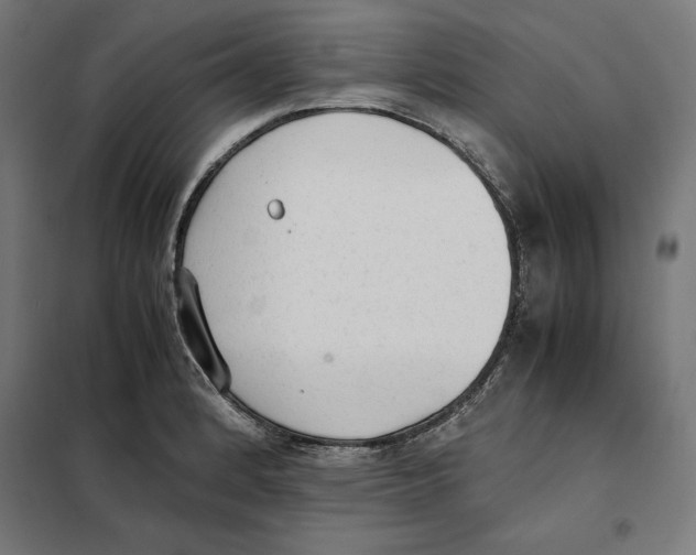 X0000101191184200807250955