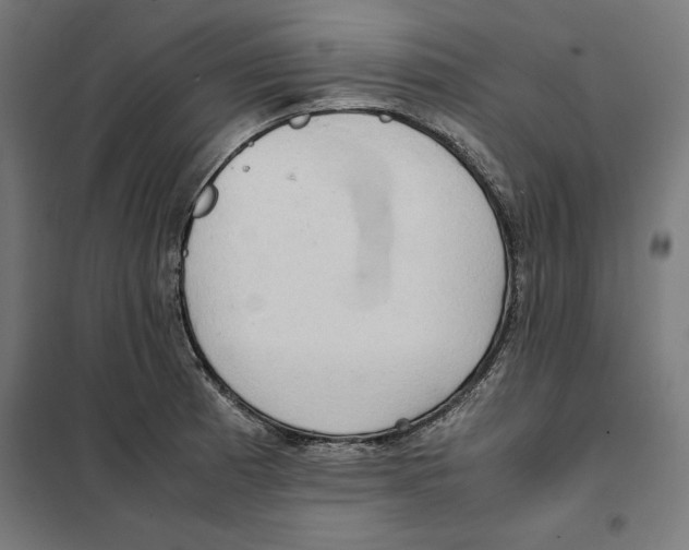 X0000101191185200807250955