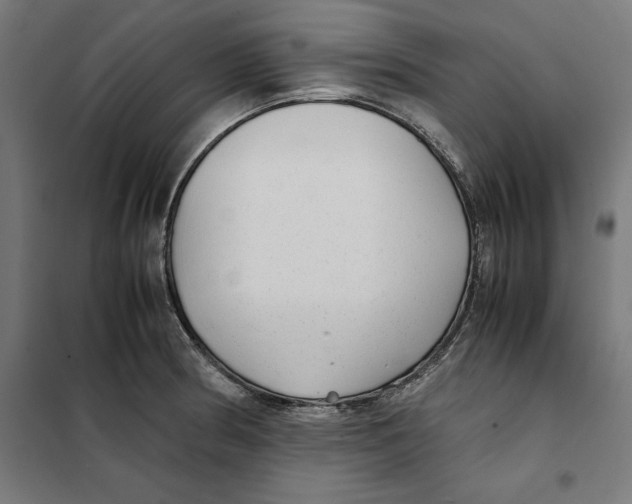 X0000101191186200807250955