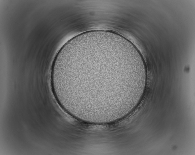 X0000101191187200807250955