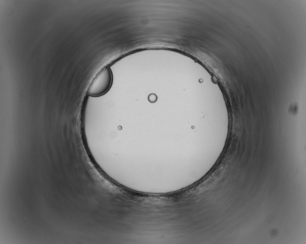 X0000101191189200807250955