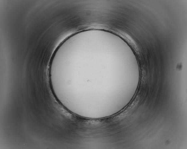 X0000101191190200807250955