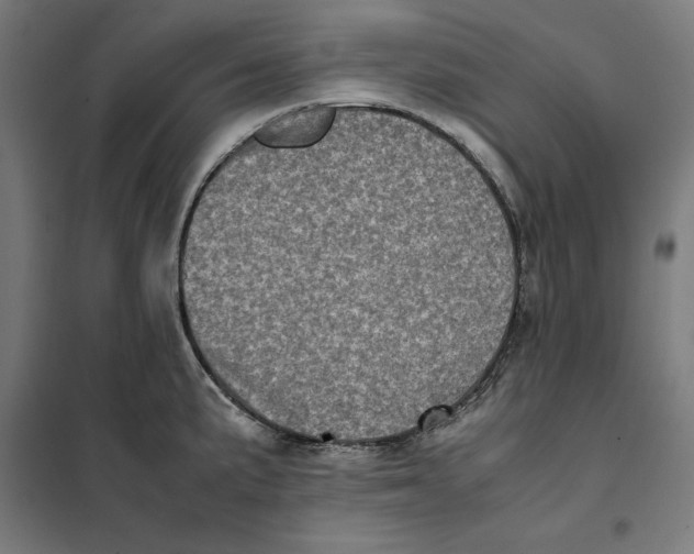 X0000101191191200807250955