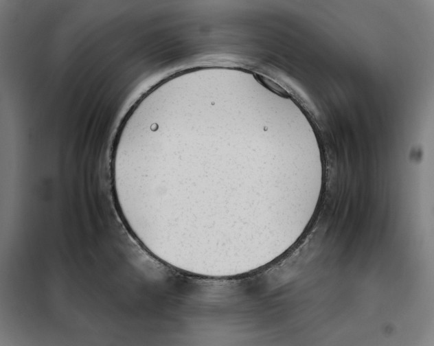 X0000101191192200807250955