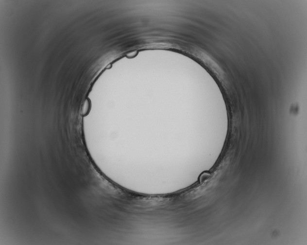 X0000101191193200807250955