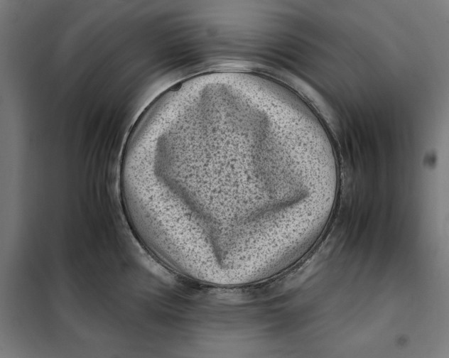 X0000101191194200807250955