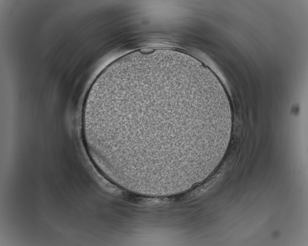X0000101191195200807250955
