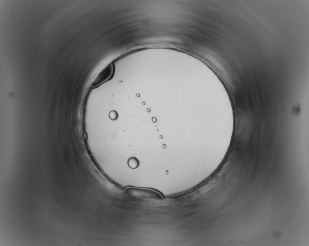 X0000101191196200807250955