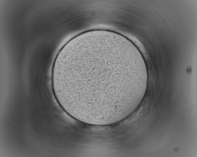 X0000101191199200807250955