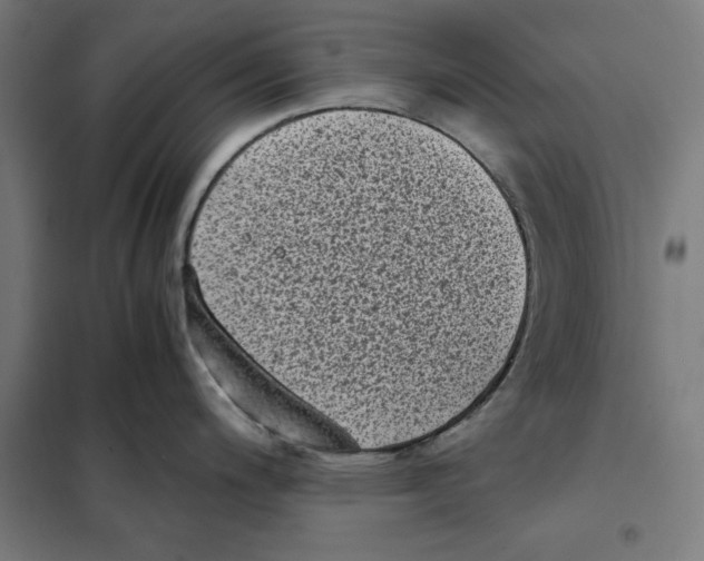 X0000101191200200807250955