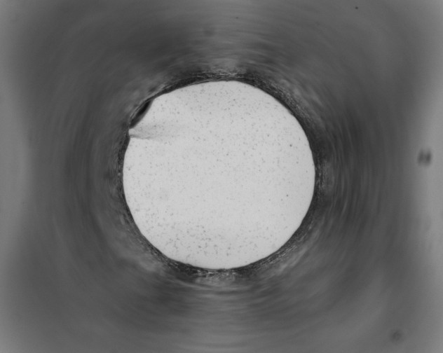 X0000101191201200807250955