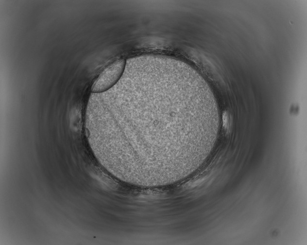 X0000101191203200807250955