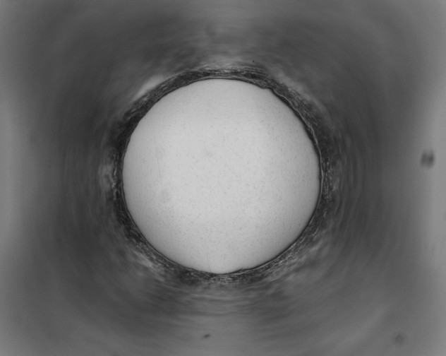 X0000101191206200807250955