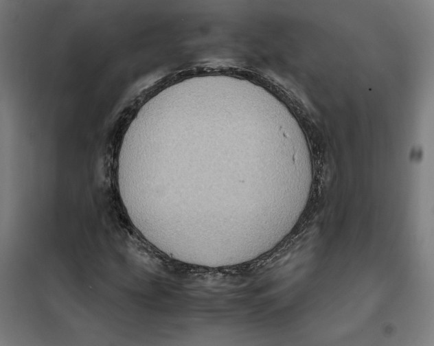 X0000101191207200807250955