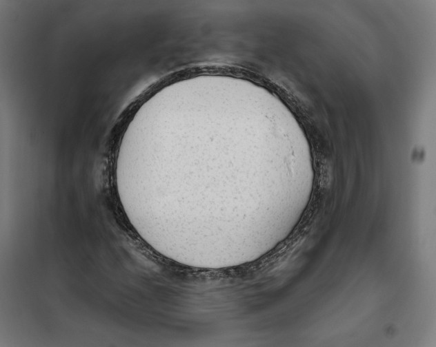 X0000101191208200807250955