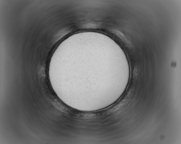 X0000101191209200807250955