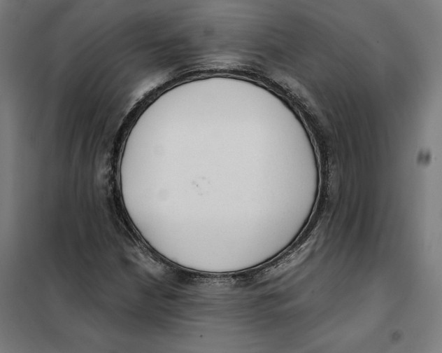 X0000101191210200807250955