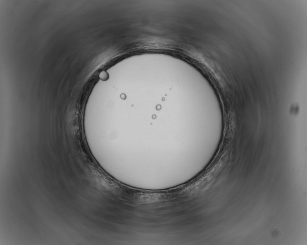 X0000101191211200807250955