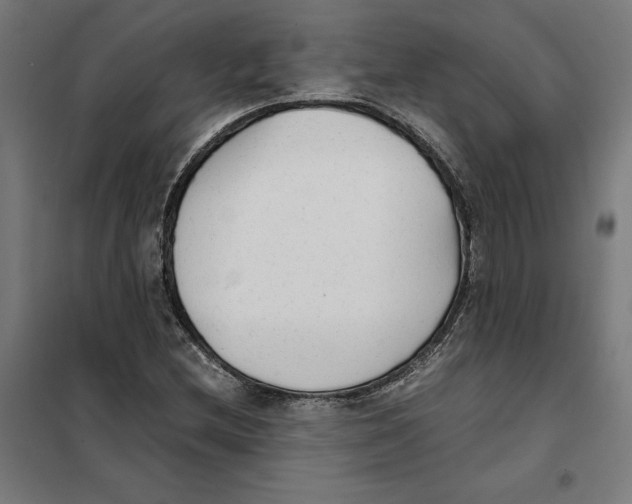 X0000101191212200807250955