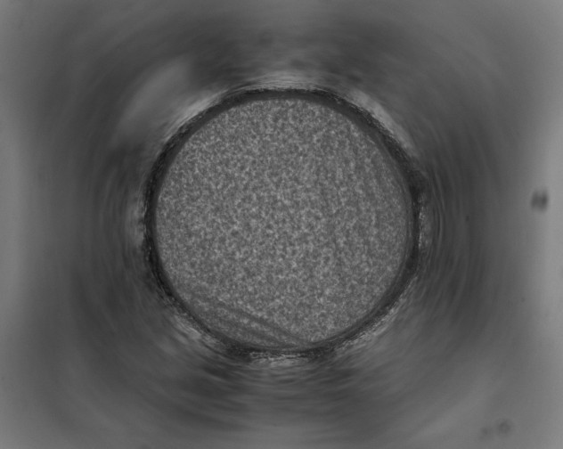 X0000101191213200807250955