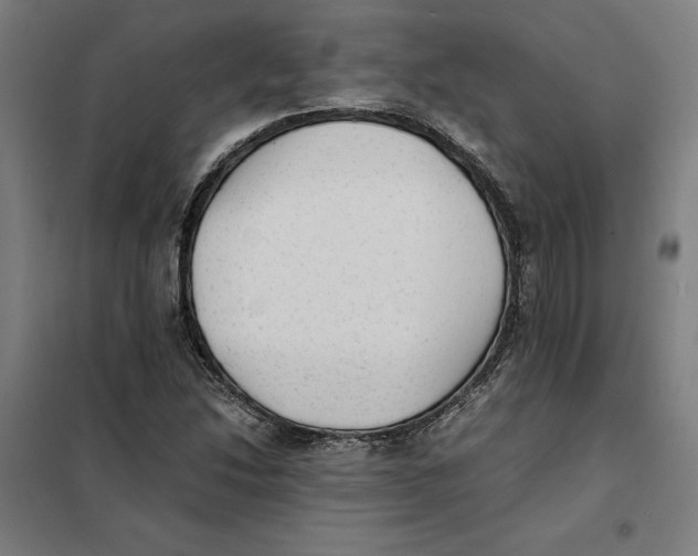 X0000101191214200807250955