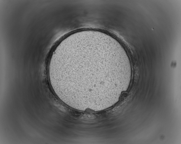 X0000101191215200807250955