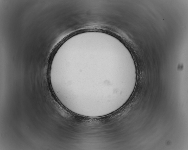 X0000101191216200807250955