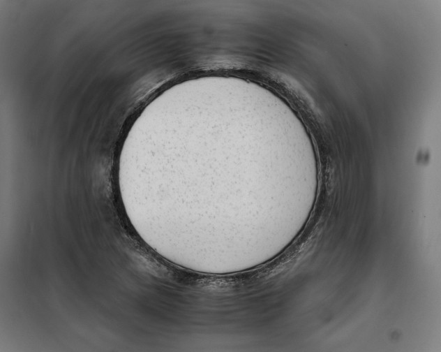 X0000101191217200807250955