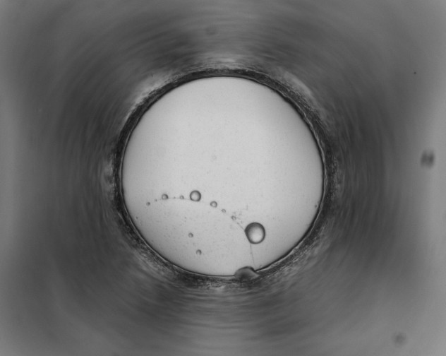 X0000101191218200807250955