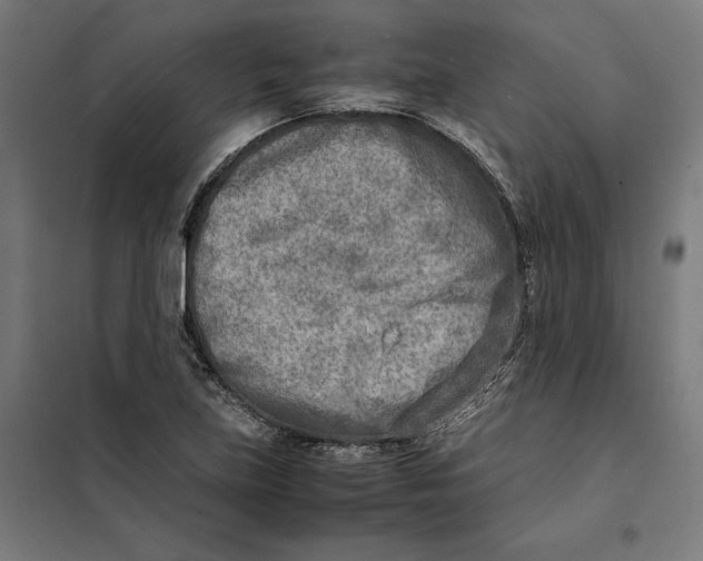 X0000101191219200807250955