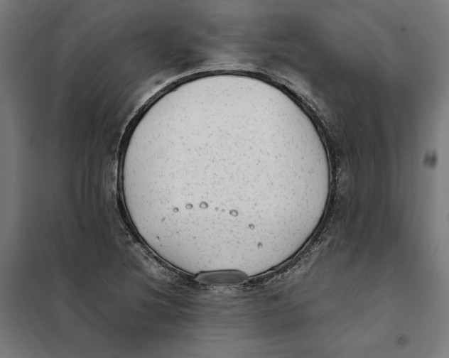 X0000101191220200807250955