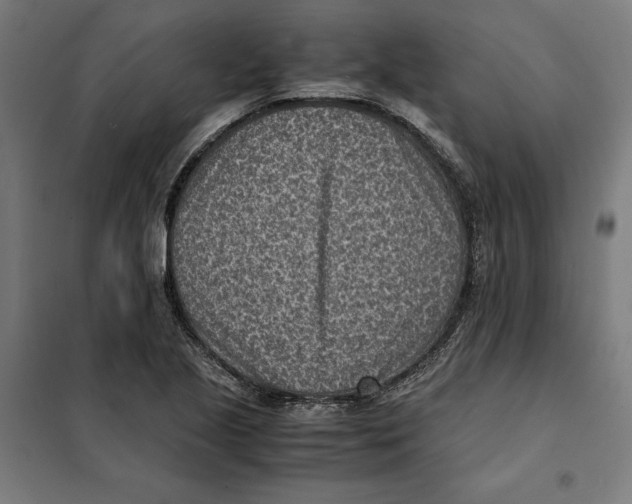 X0000101191221200807250955