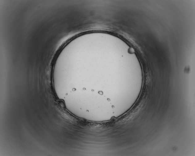 X0000101191222200807250955