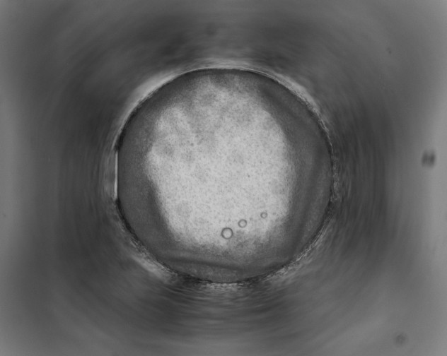 X0000101191223200807250955