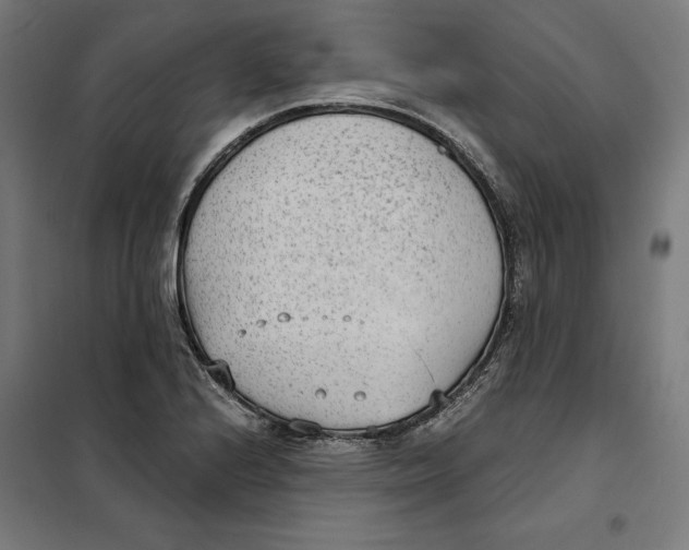 X0000101191224200807250955