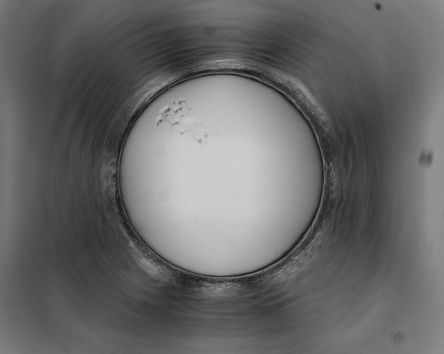 X0000101191225200807250955
