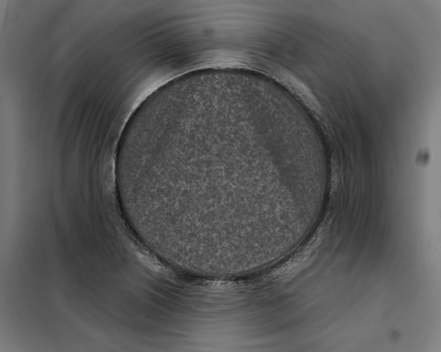 X0000101191226200807250955