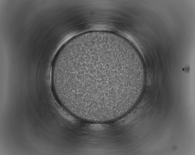 X0000101191227200807250955