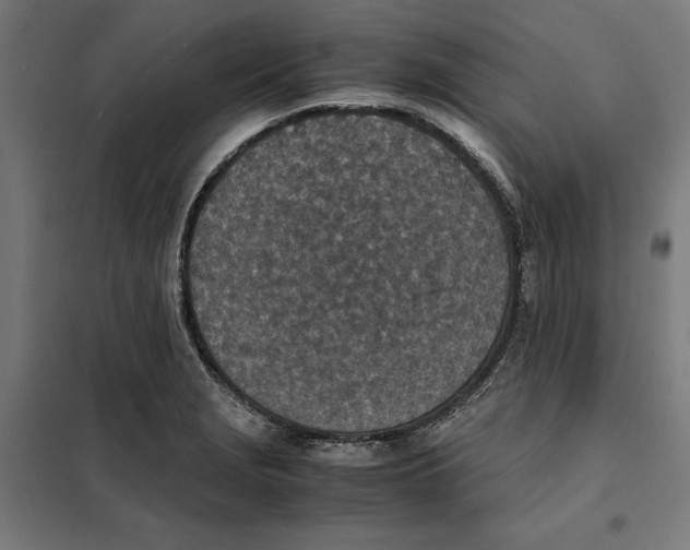 X0000101191229200807250955