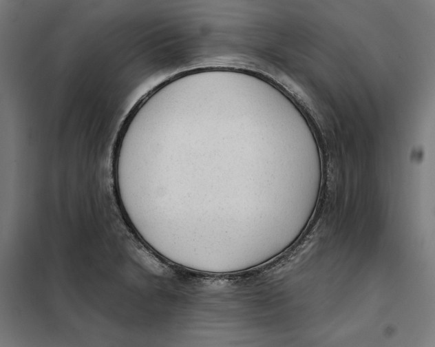 X0000101191230200807250955