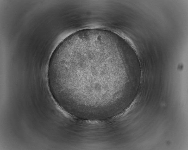 X0000101191231200807250955