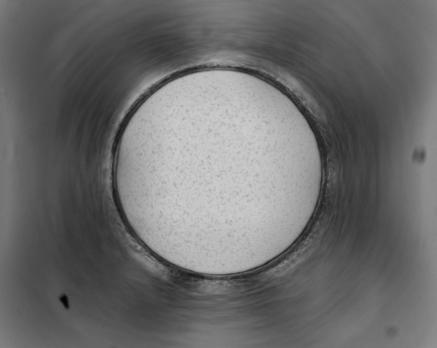 X0000101191232200807250955