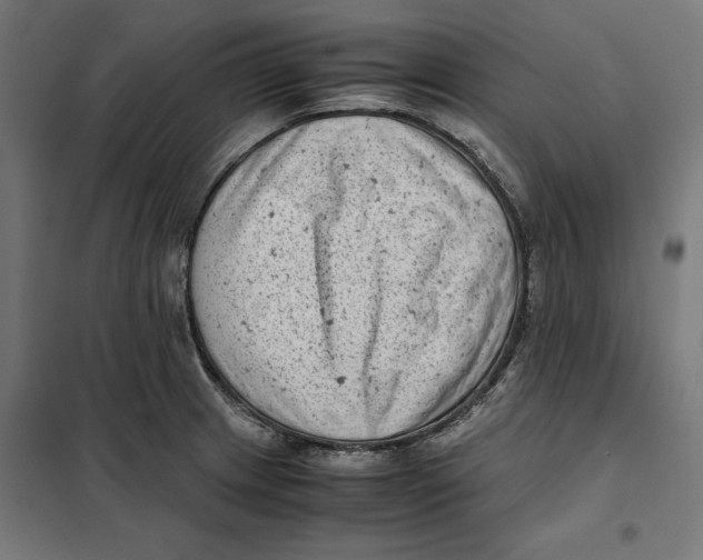 X0000101191233200807250955