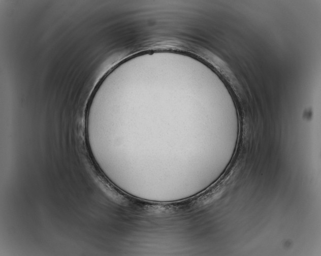 X0000101191234200807250955