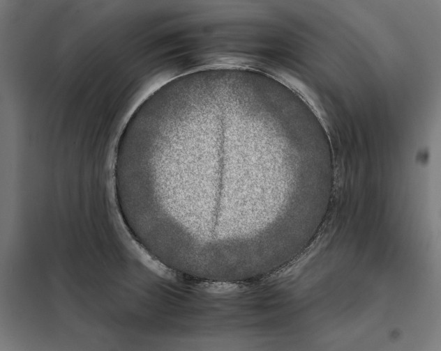 X0000101191235200807250955